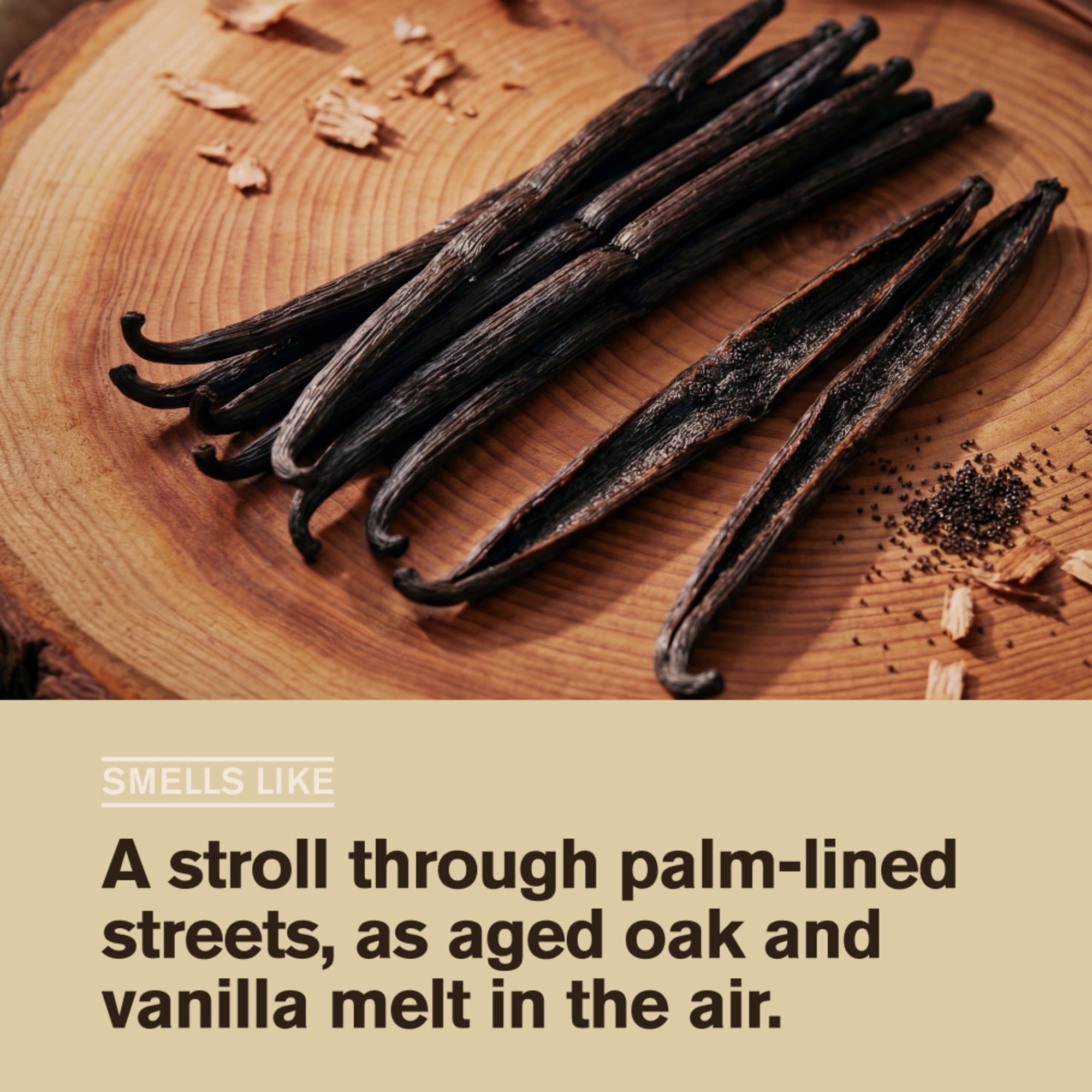 Vanilla + Cedar / Standard