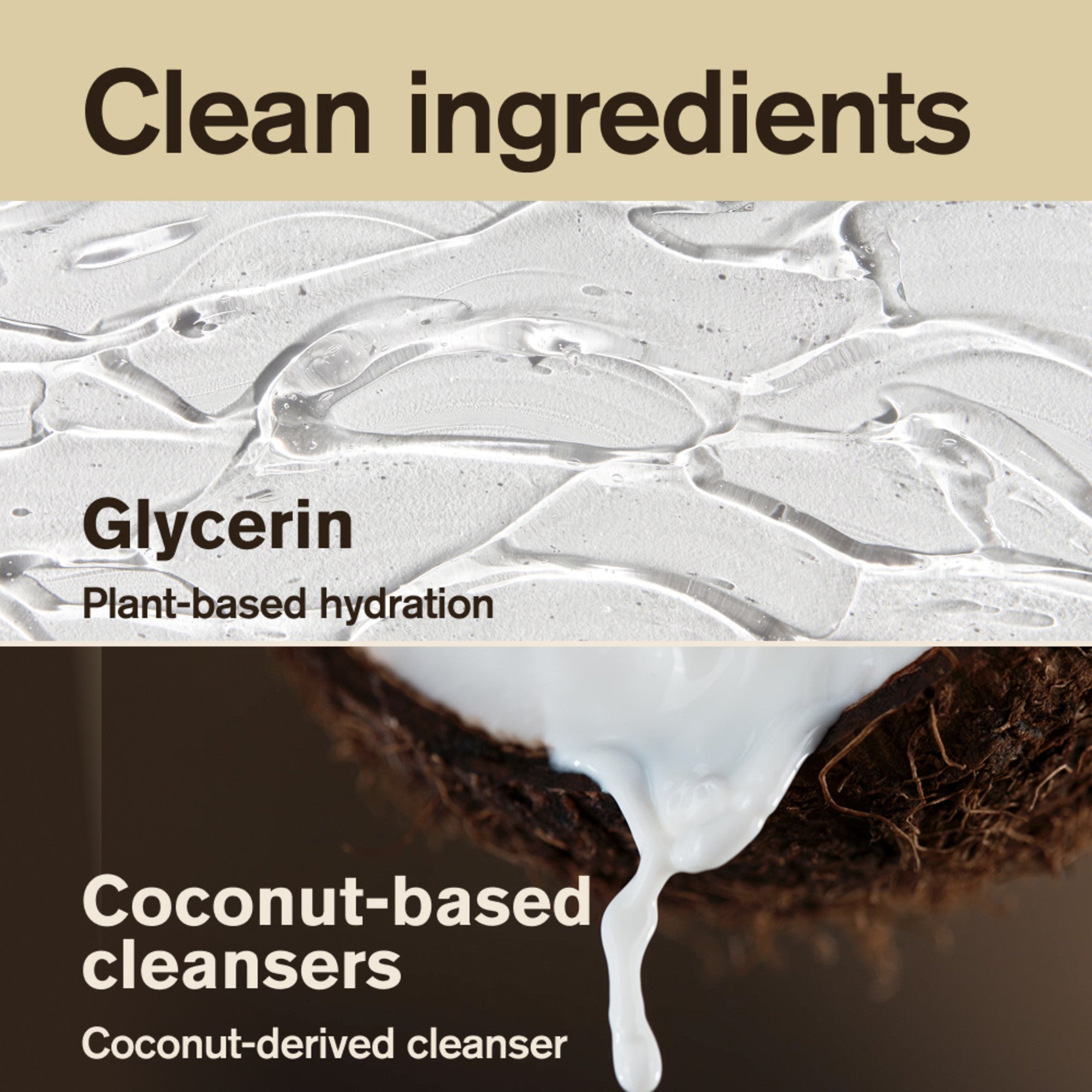 Vanilla + Cedar / Standard