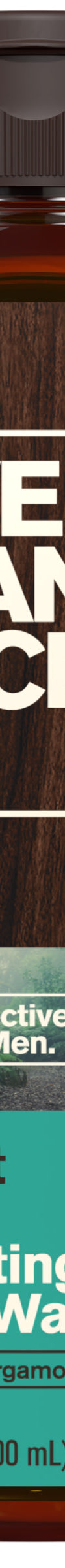 Forest Rain / Standard