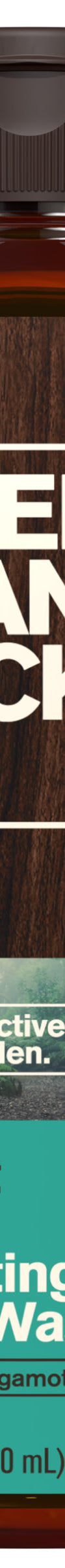 Forest Rain / Standard