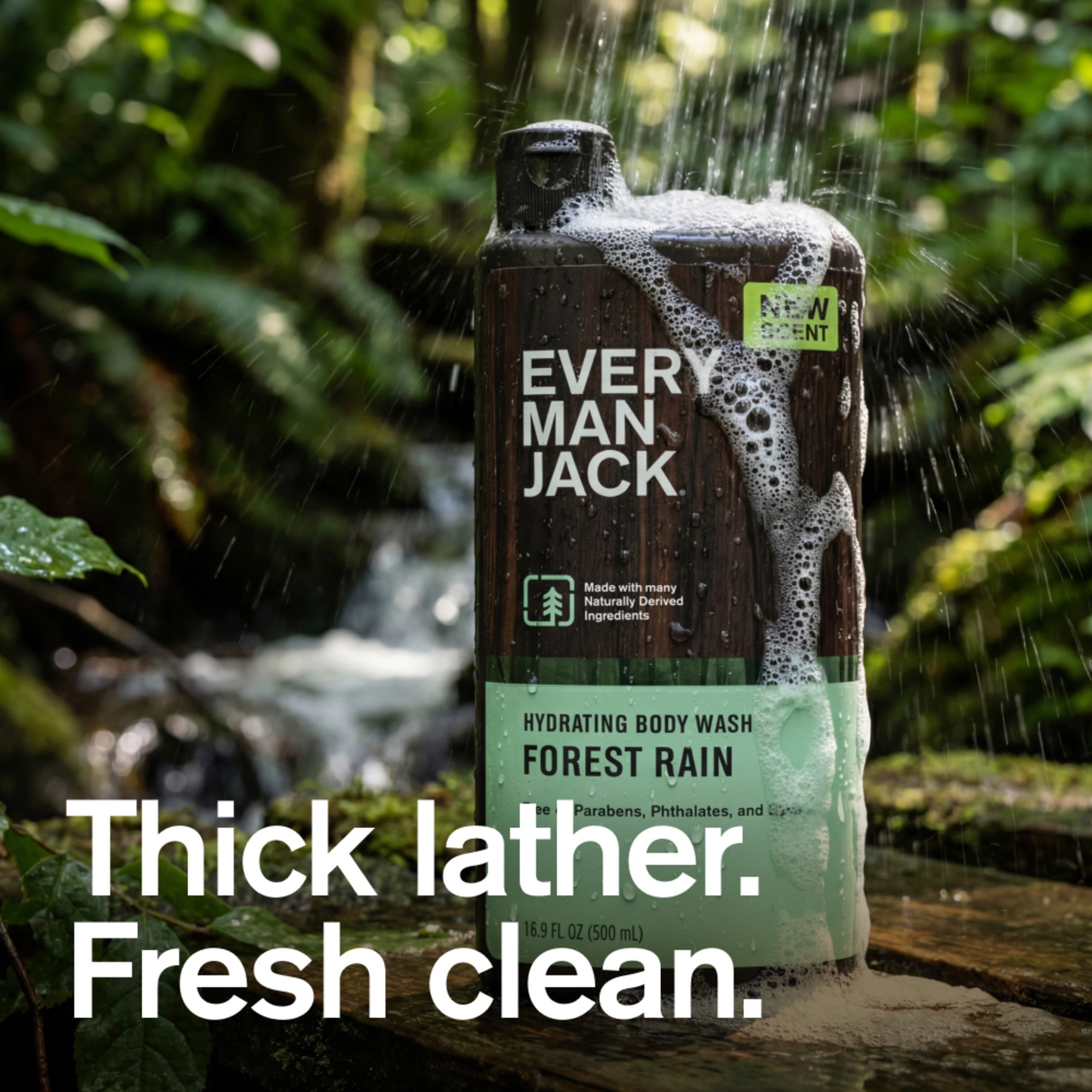 Forest Rain / Standard