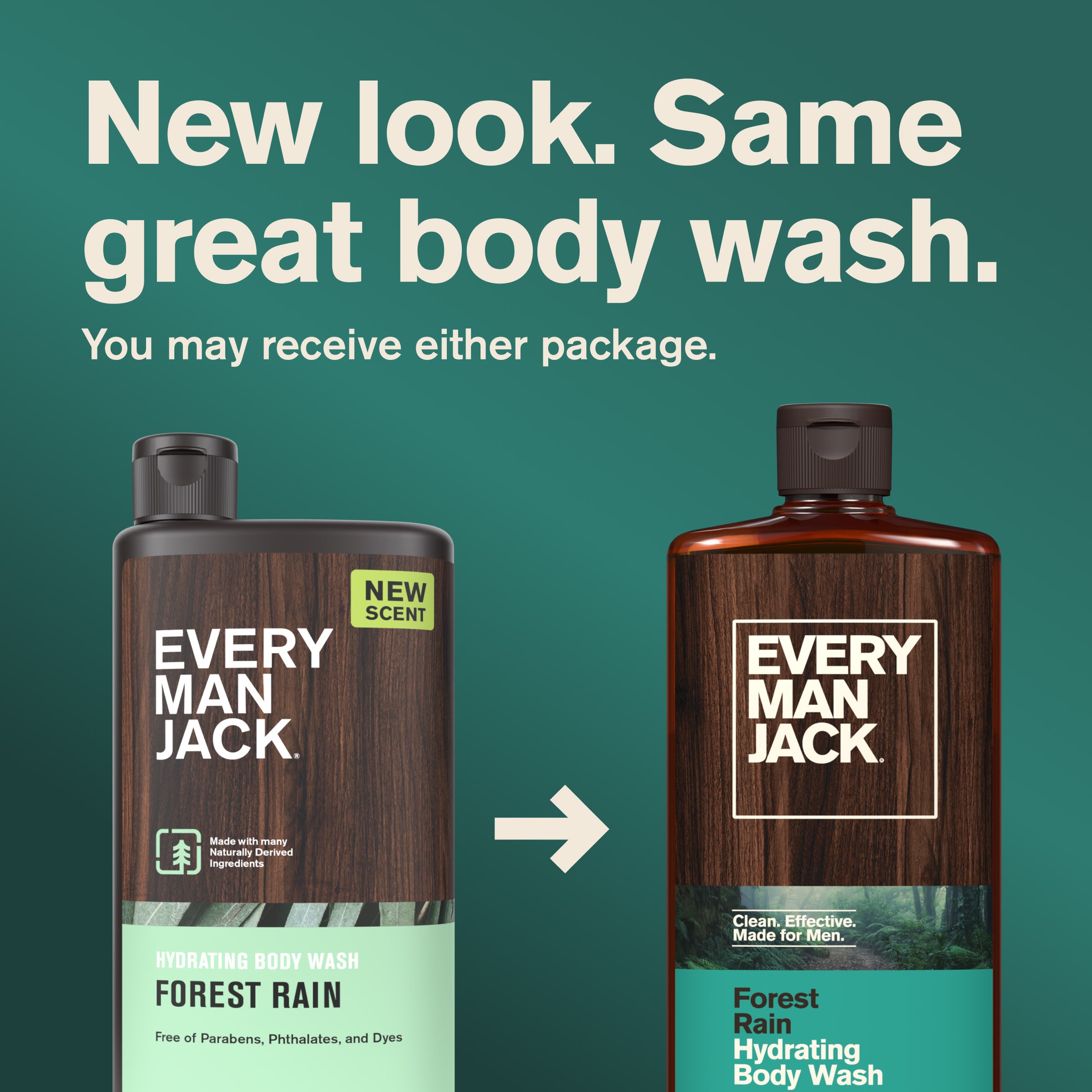 Forest Rain / Standard