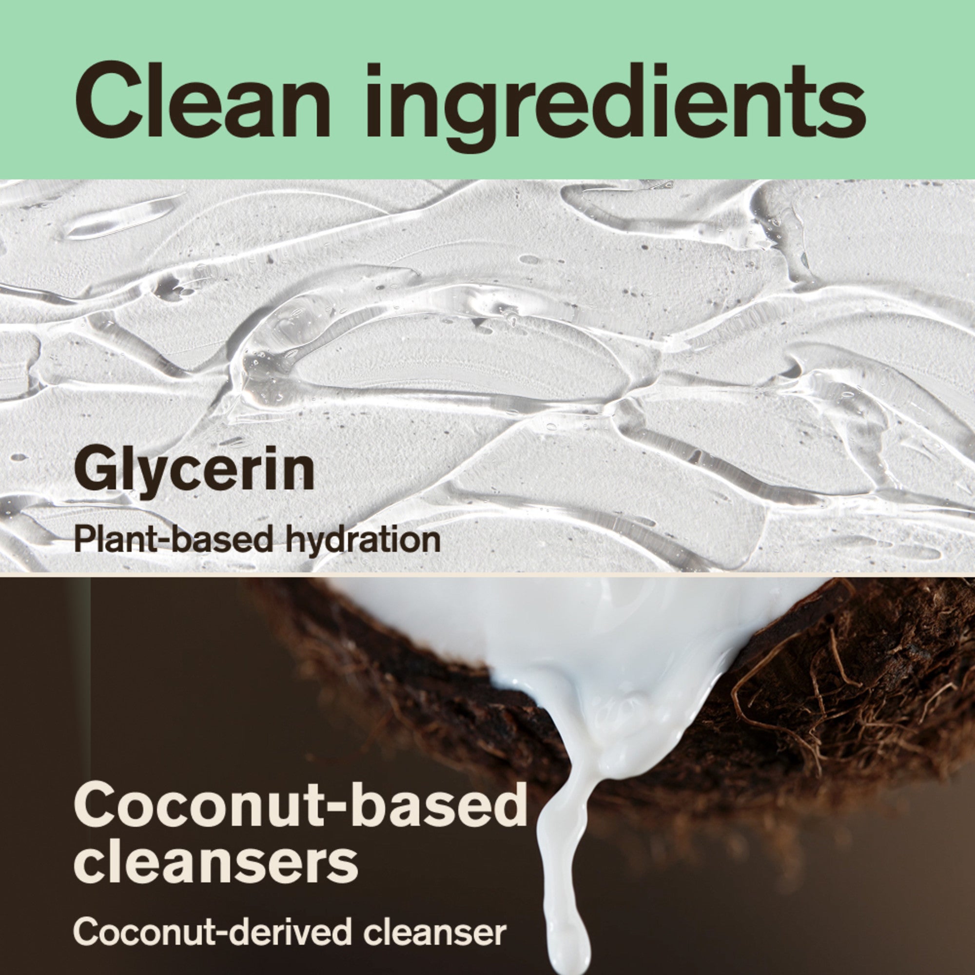 Forest Rain / Standard