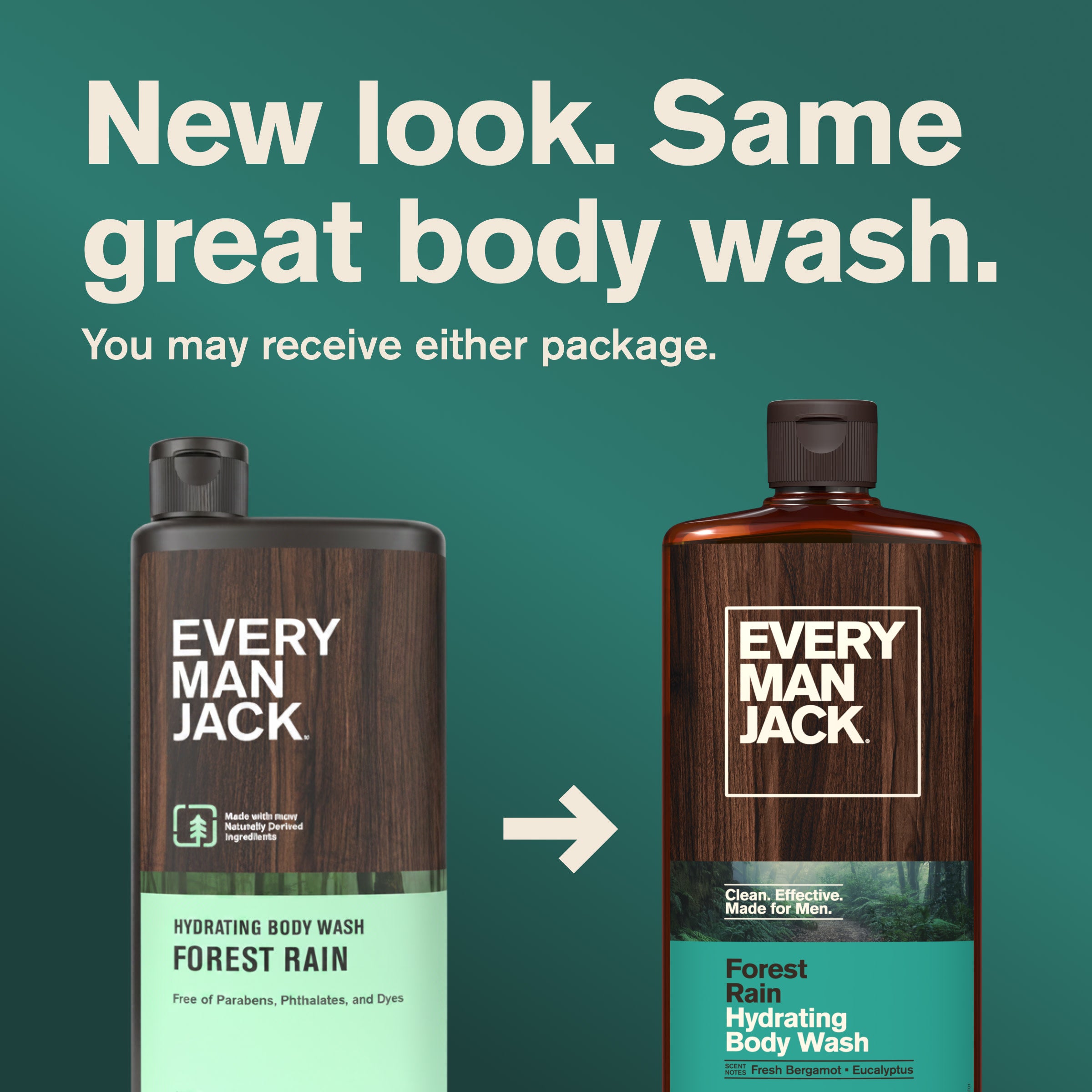 Forest Rain / Standard