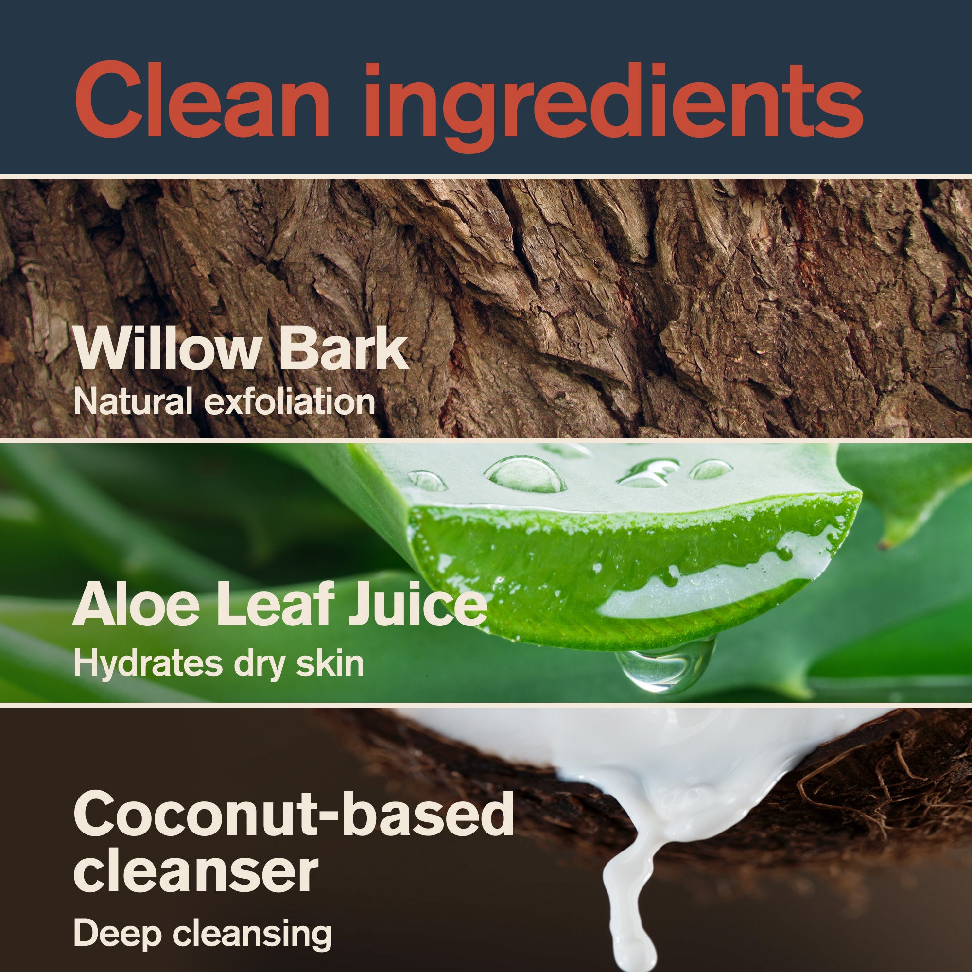 Redwood Forest / 14oz