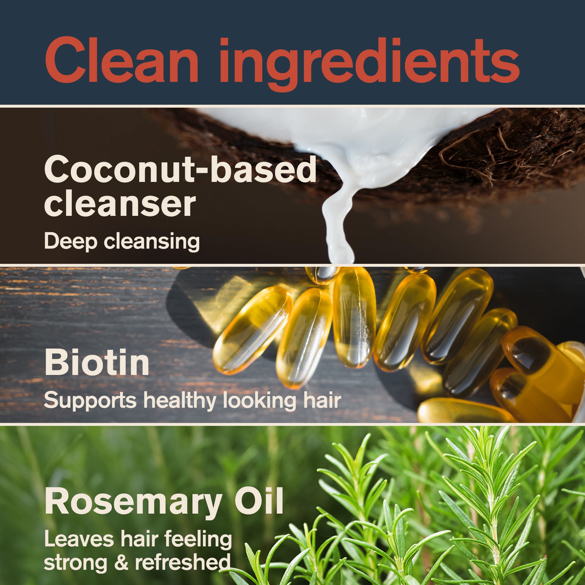 Redwood Forest / 12oz