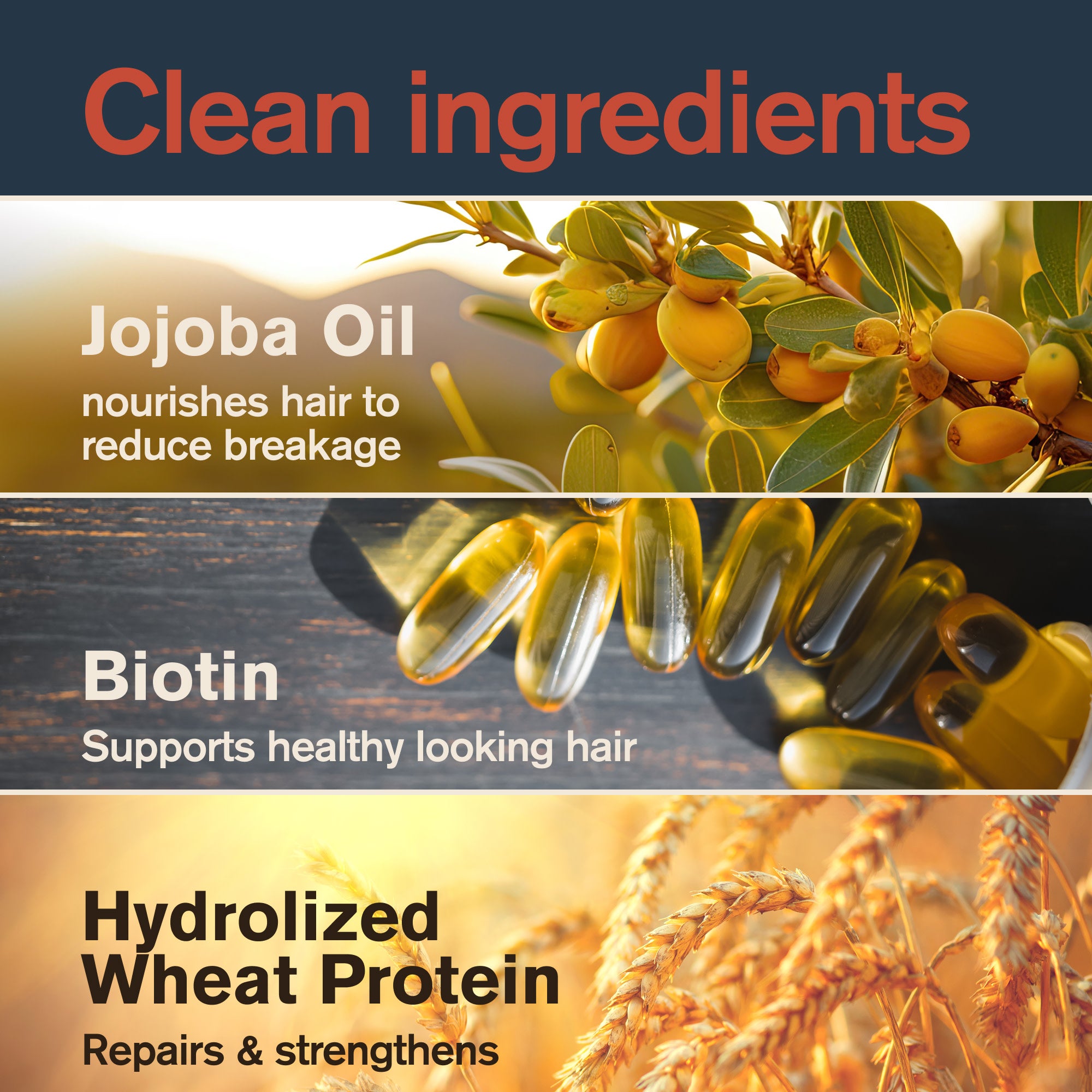 Redwood Forest / 12oz