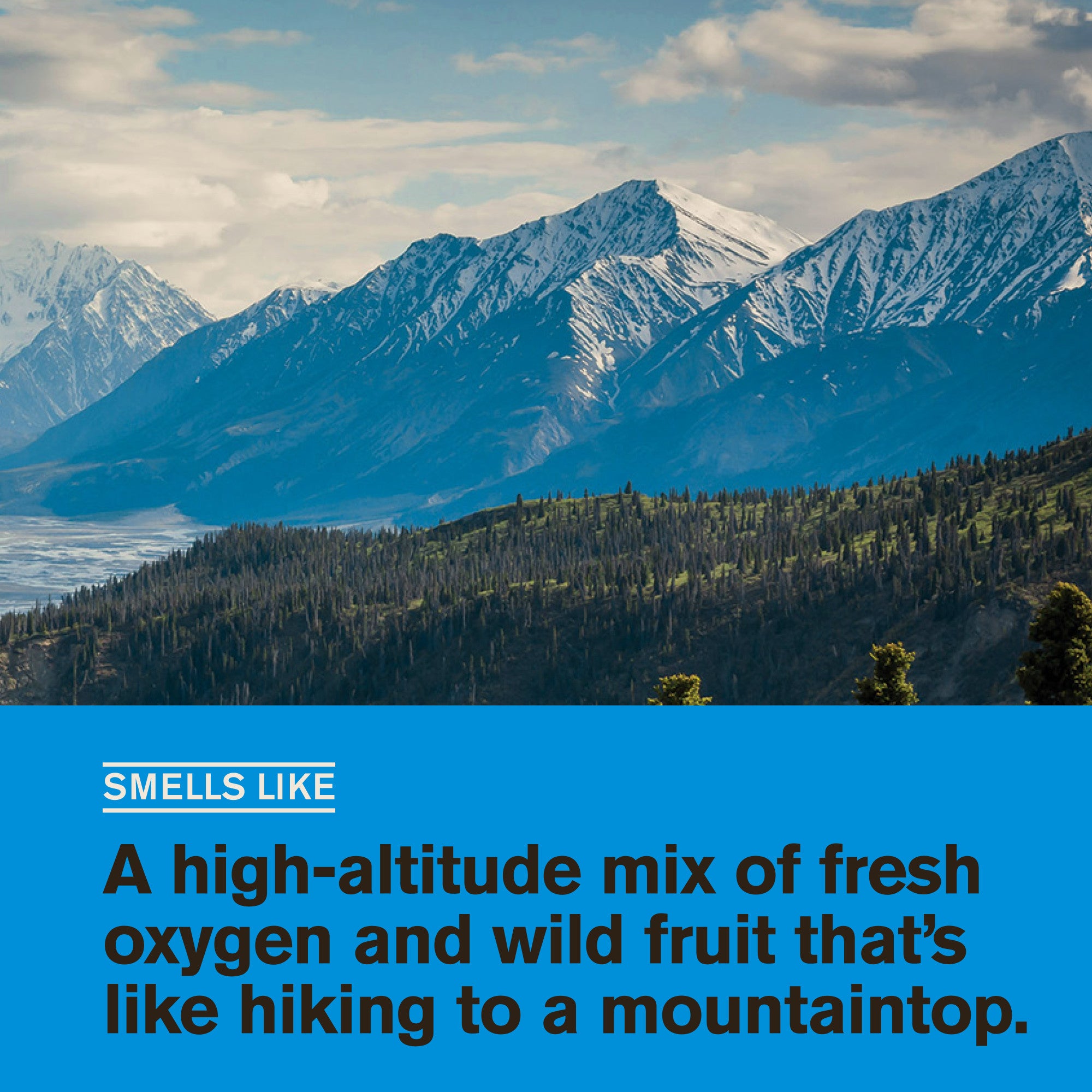 Mountain Air