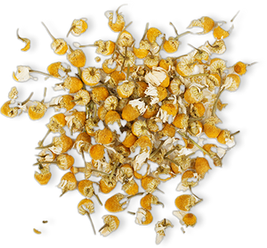 Chamomile Extract