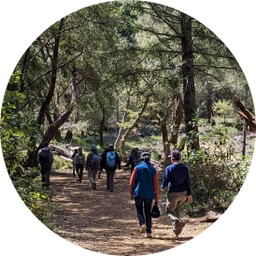Group of volunteers hiking on a wooded trail in a sunlit forest during a stewardship outing