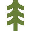 Icon of Tree - Clean Ingredients