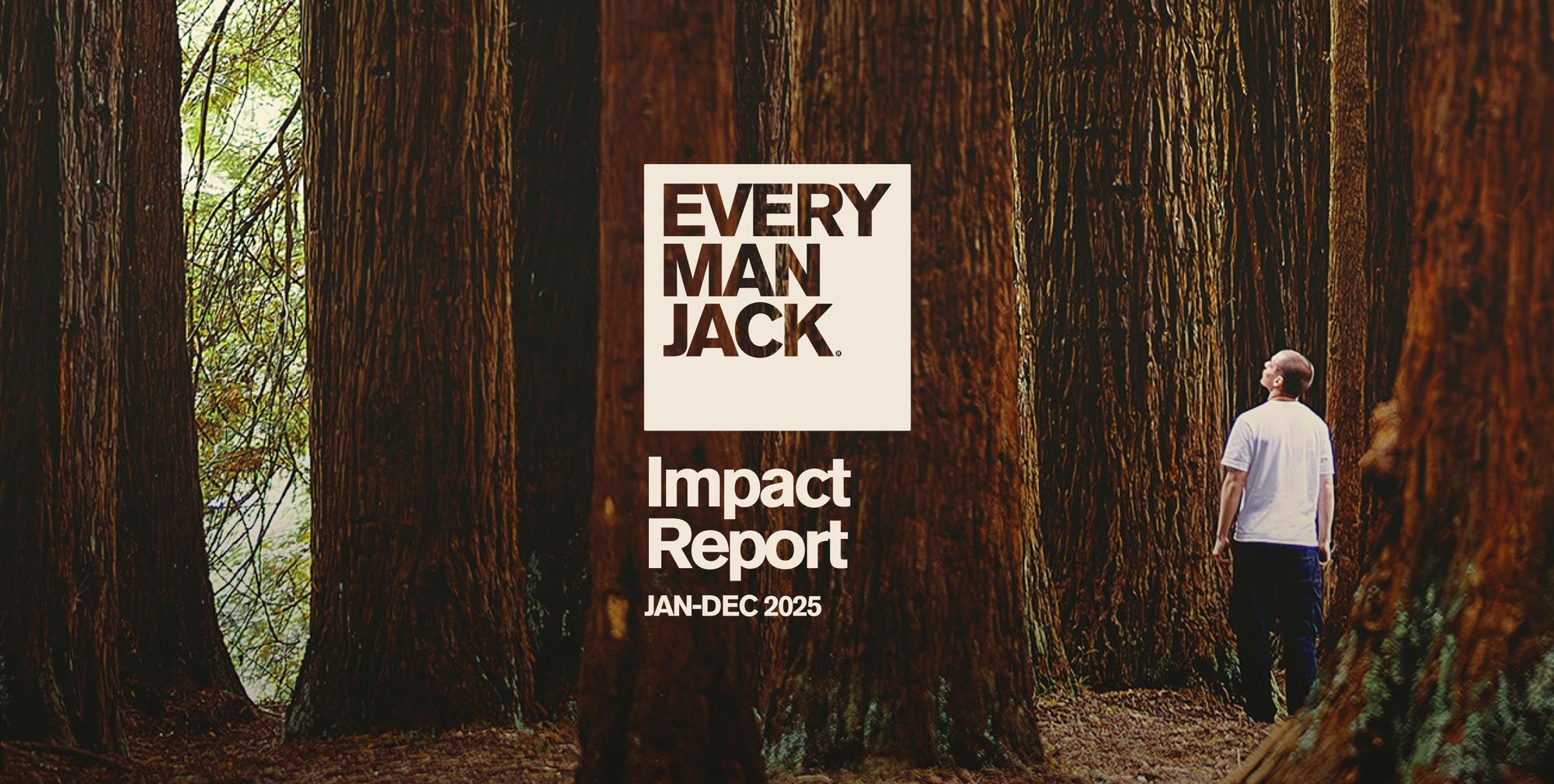 Impact Report JAN-DEC 2025 - Man in the forest