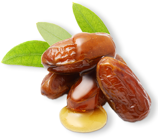 Jojoba Oil