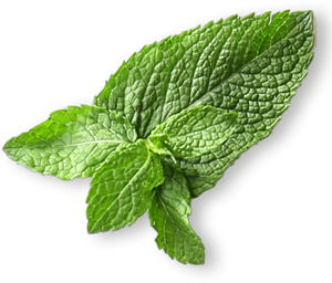 Peppermint Oil