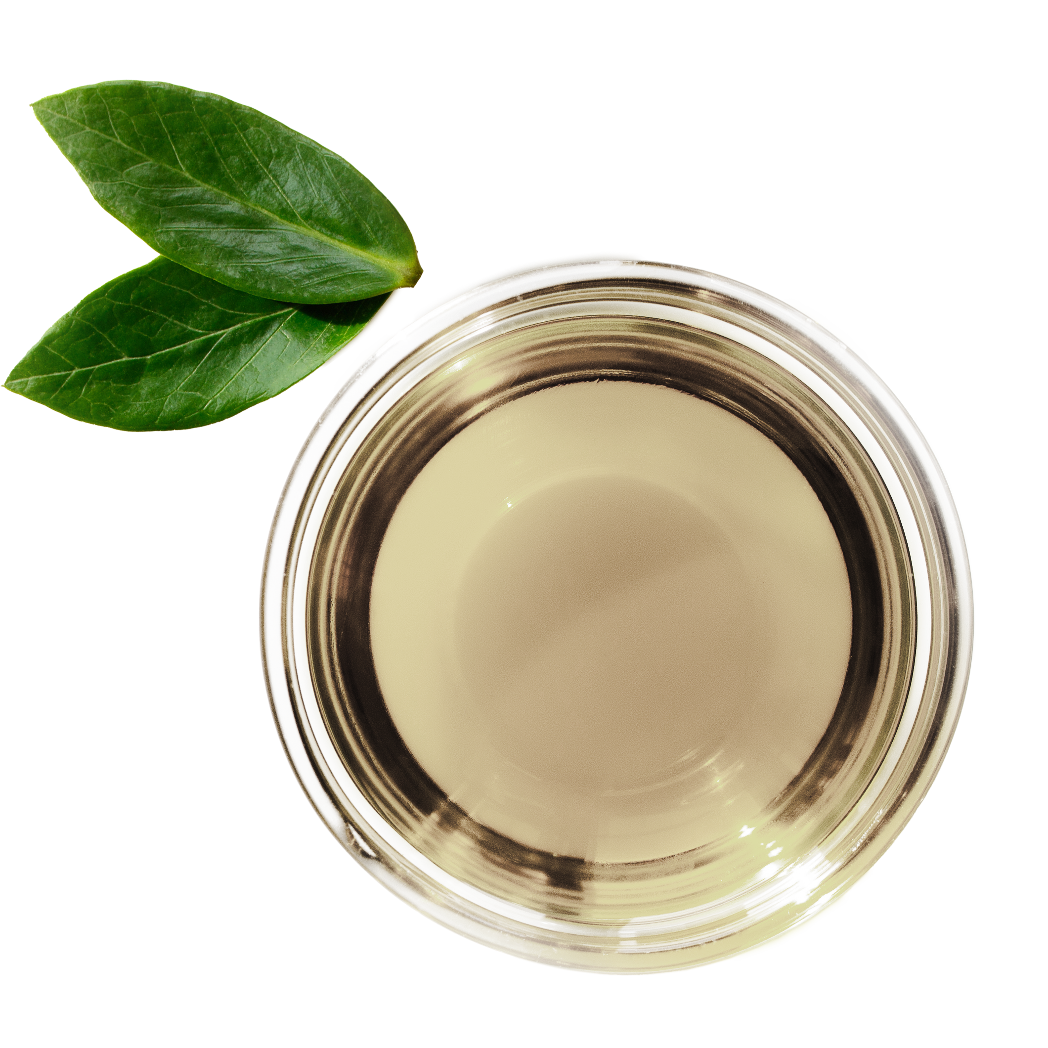 Avocado Oil