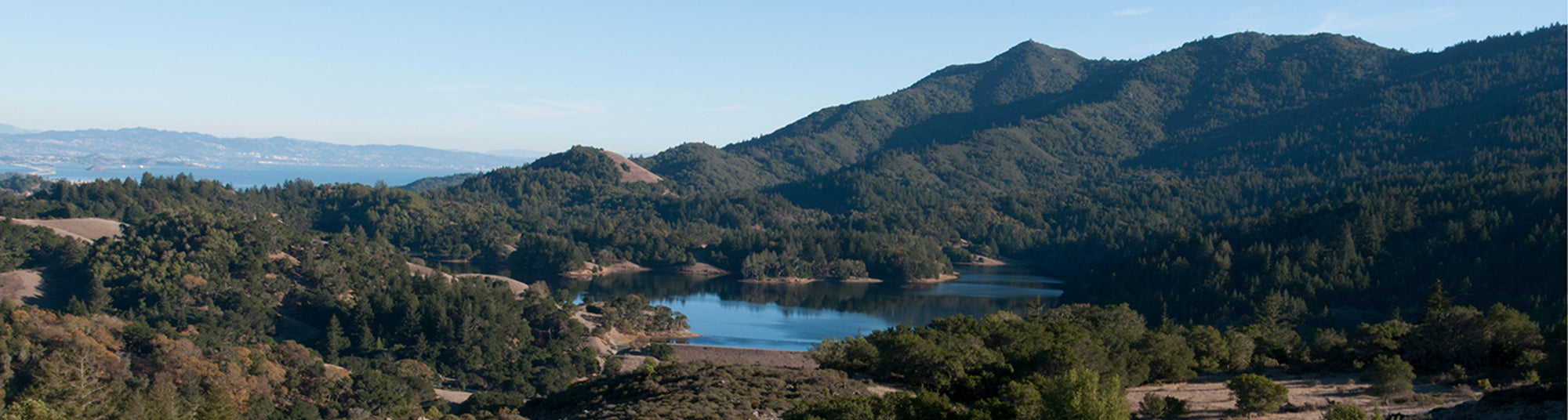 A scenic view of Mt. Tamalpais with a lake and surrounding forest.