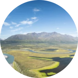 Protect the Arctic Refuge icon