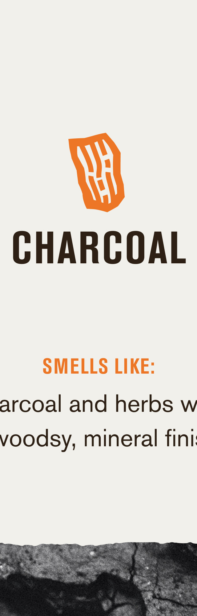 Activated Charcoal / Standard (7346569805986)