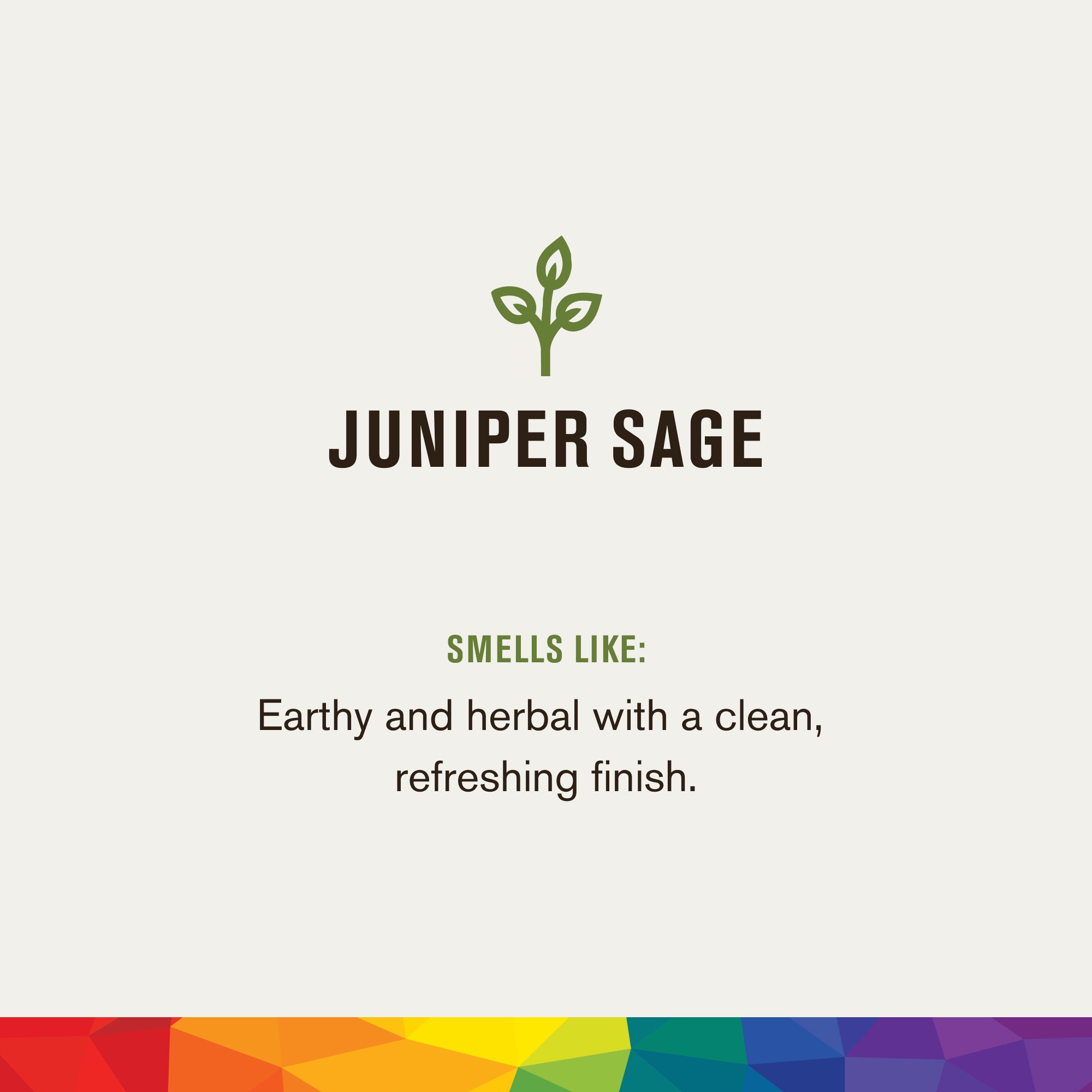 Juniper Sage / Standard