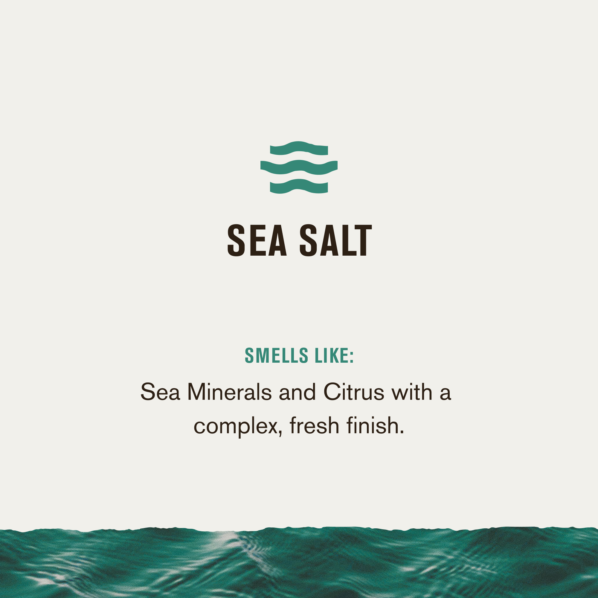 Sea Salt / Standard