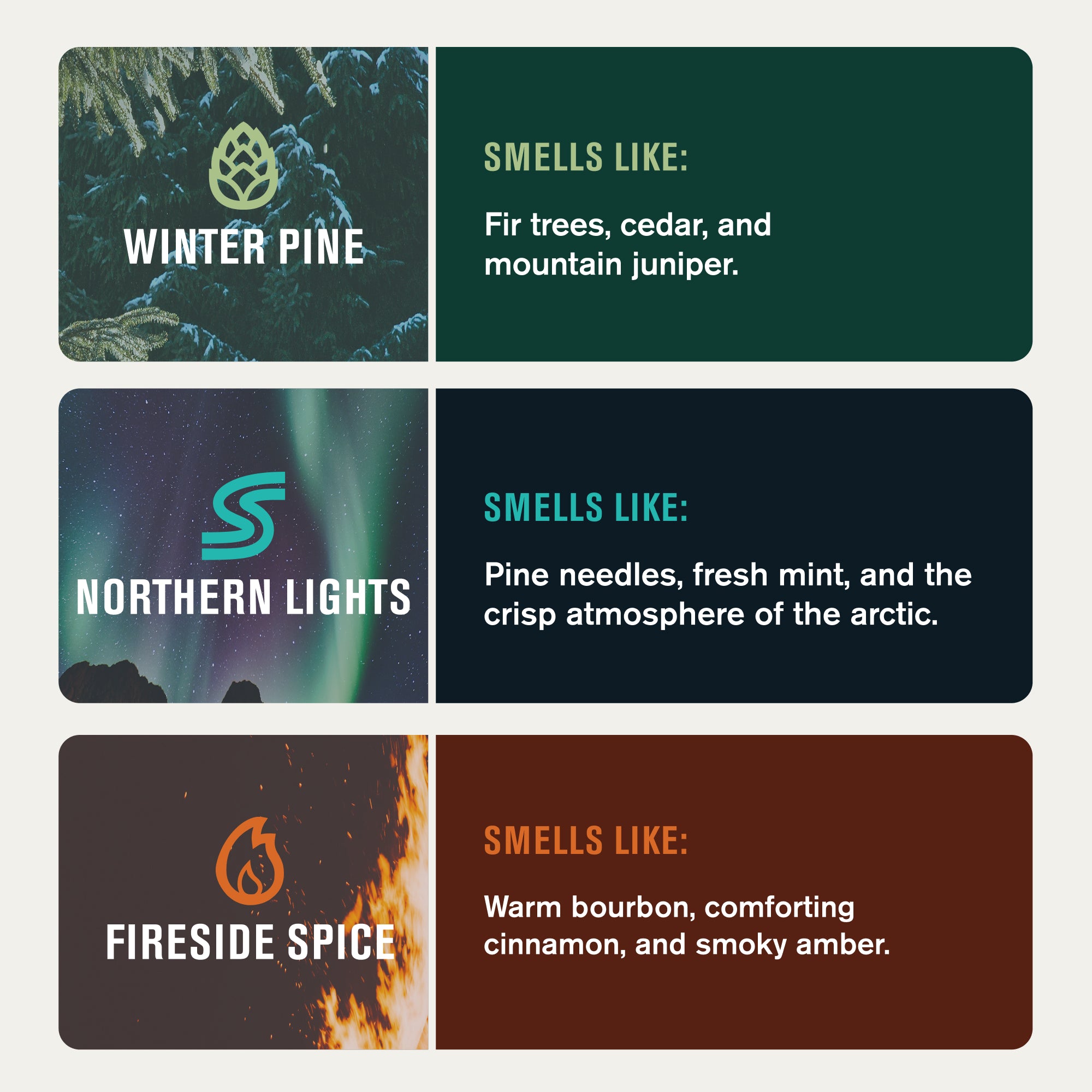 Winter Body Wash Kit