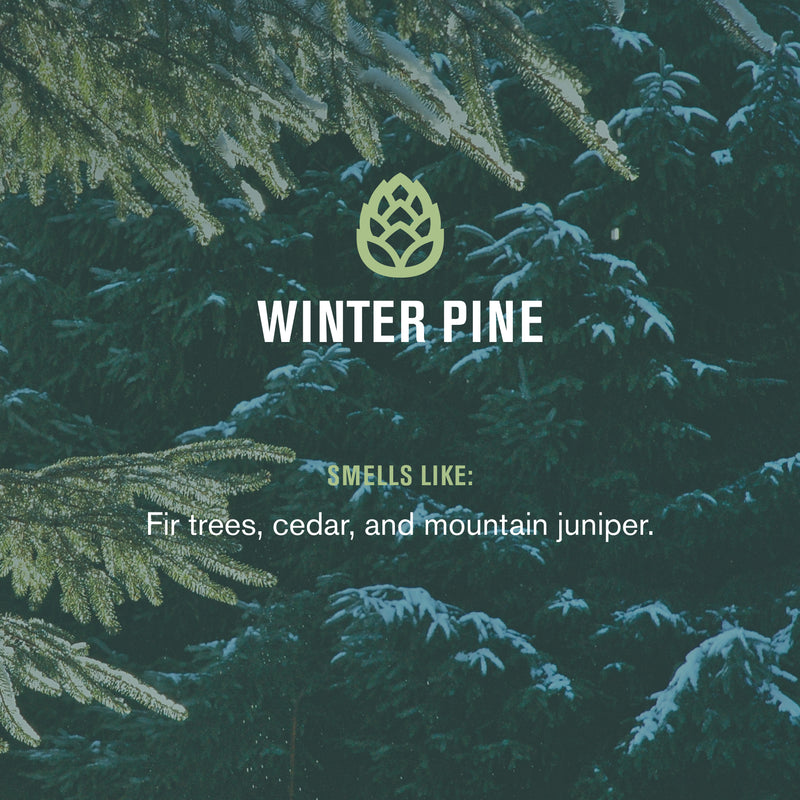 WINTER PINE; SMELLS LIKE: Fir trees, cedar, and mountain juniper.