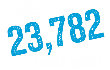 23,782 Yards Swum
