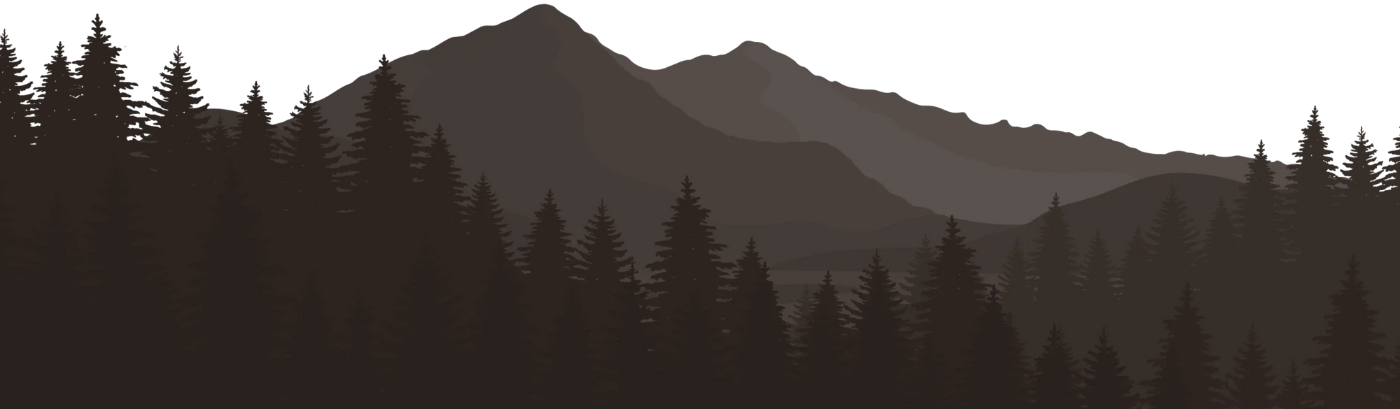 Silhouette of mountains and pine trees against a dark background
