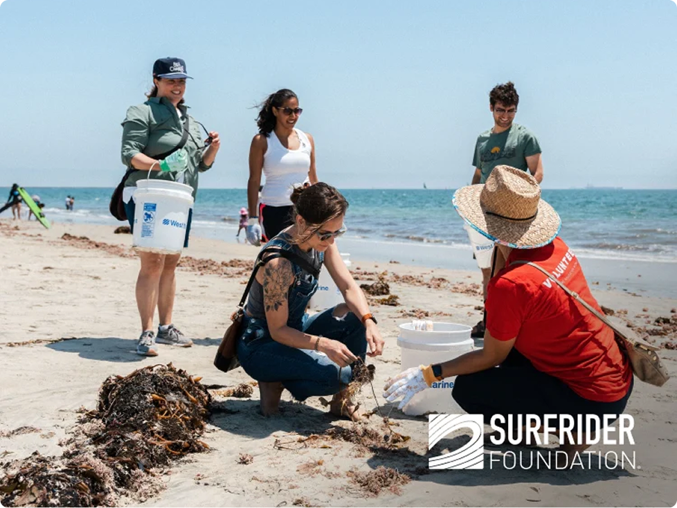 Volunteers cleaning a sandy beach, collecting seaweed and trash into white buckets with the Surfrider Foundation logo overlaid