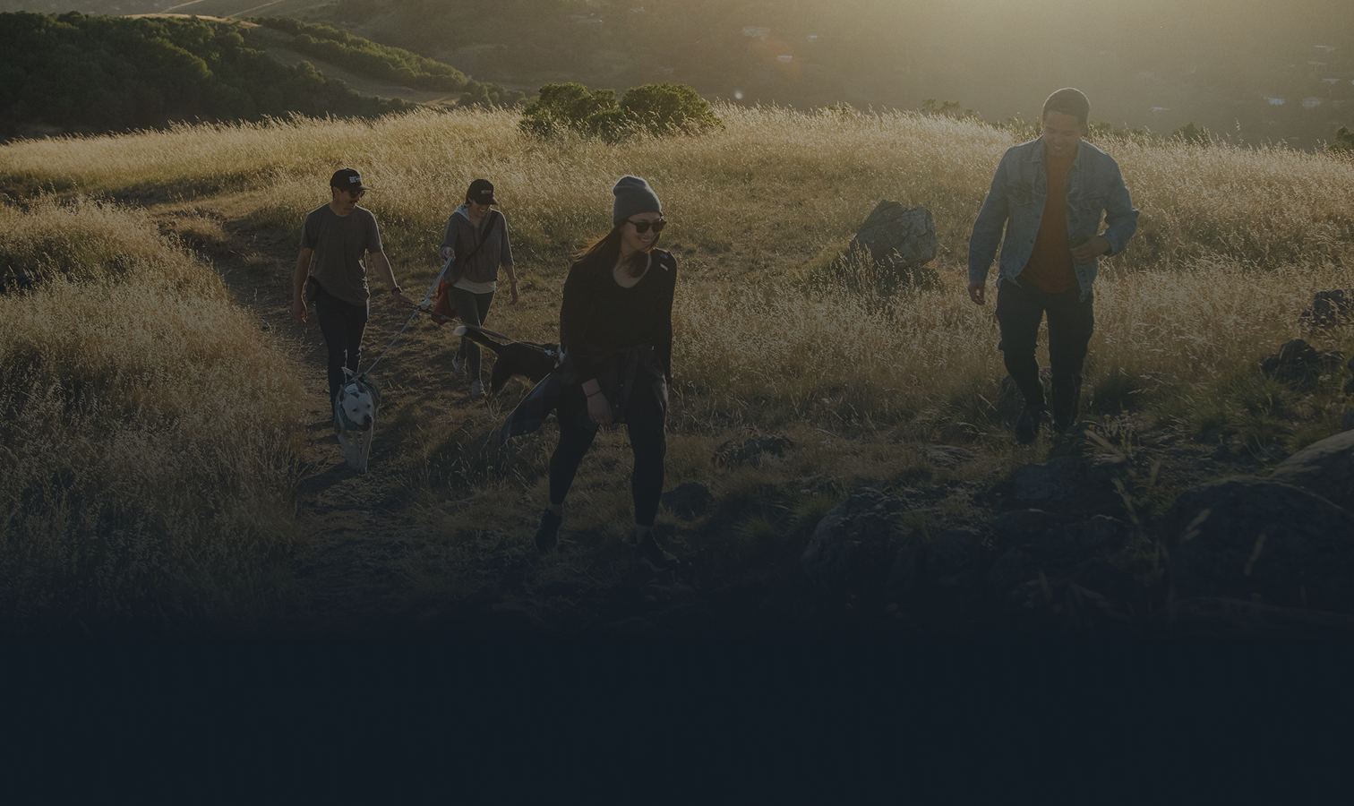 Three people hiking with dogs through a sunlit grassy hillside at golden hour