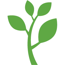 Naturally derived icon